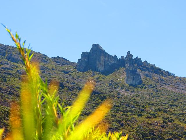 Chirripó National Park